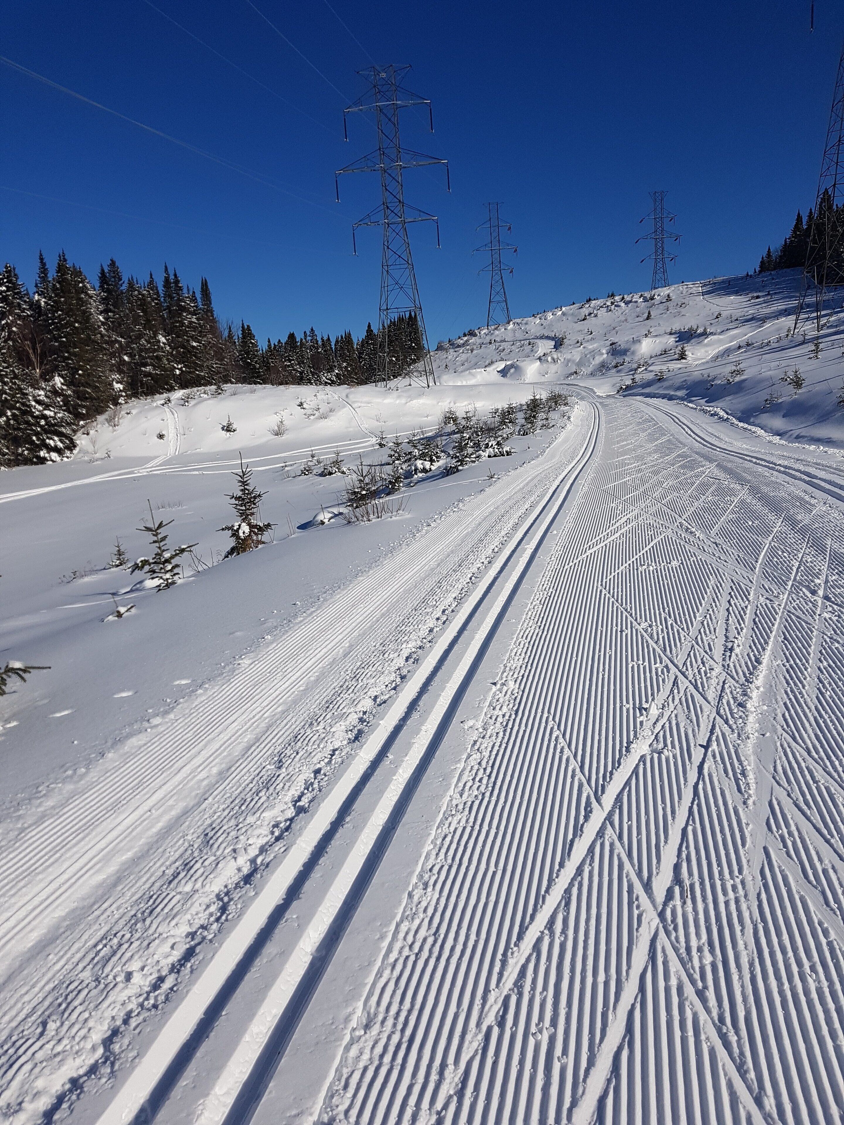 A snowy ski trail with power lines and trees in the background.