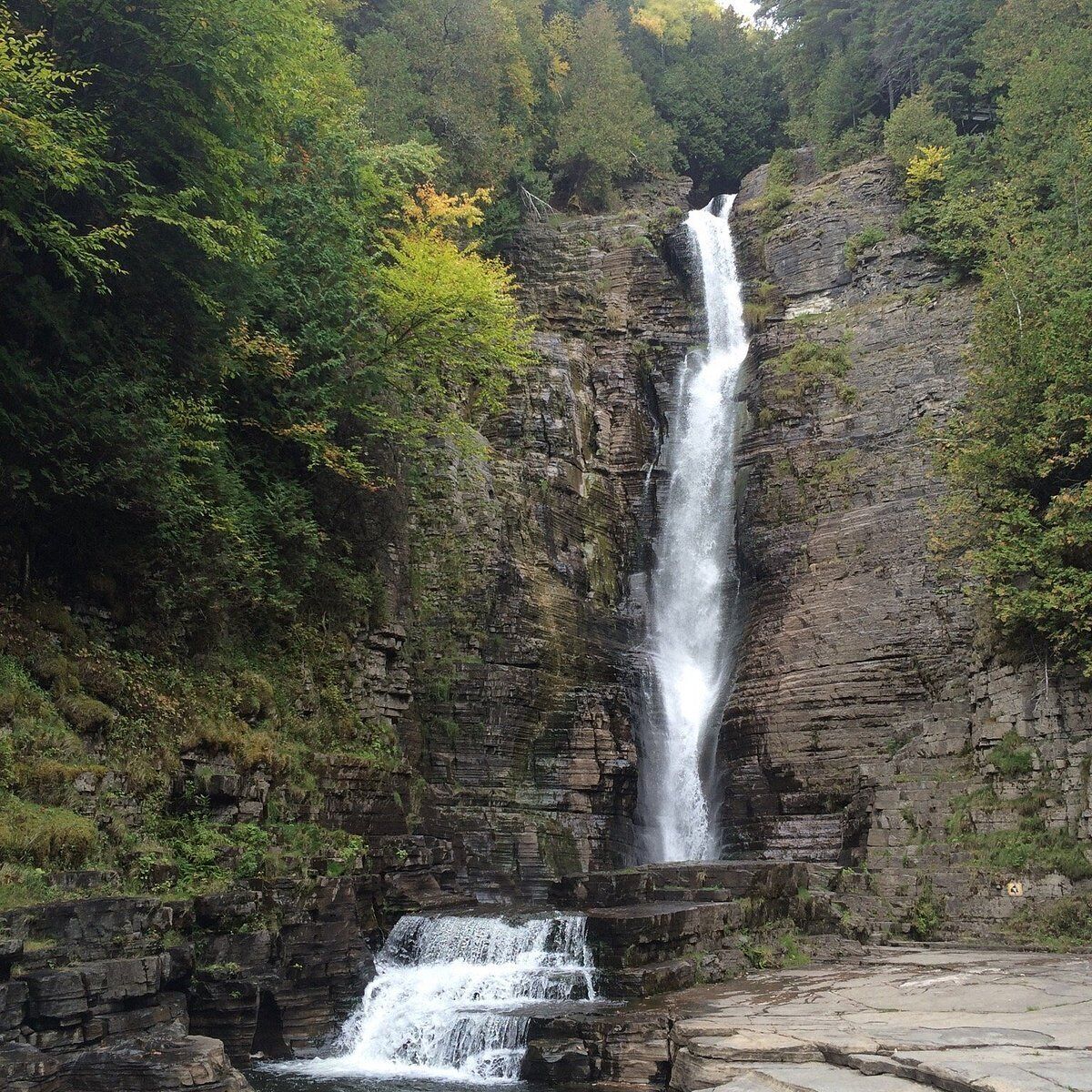 Ein Wasserfall stürzt über eine steile Felswand, umgeben von dichtem Wald.