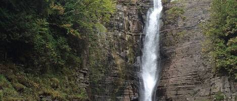 A waterfall cascading down a rocky cliff surrounded by dense forest.