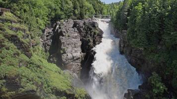 Una cascada se precipita por un acantilado rocoso rodeado de abundante vegetación.