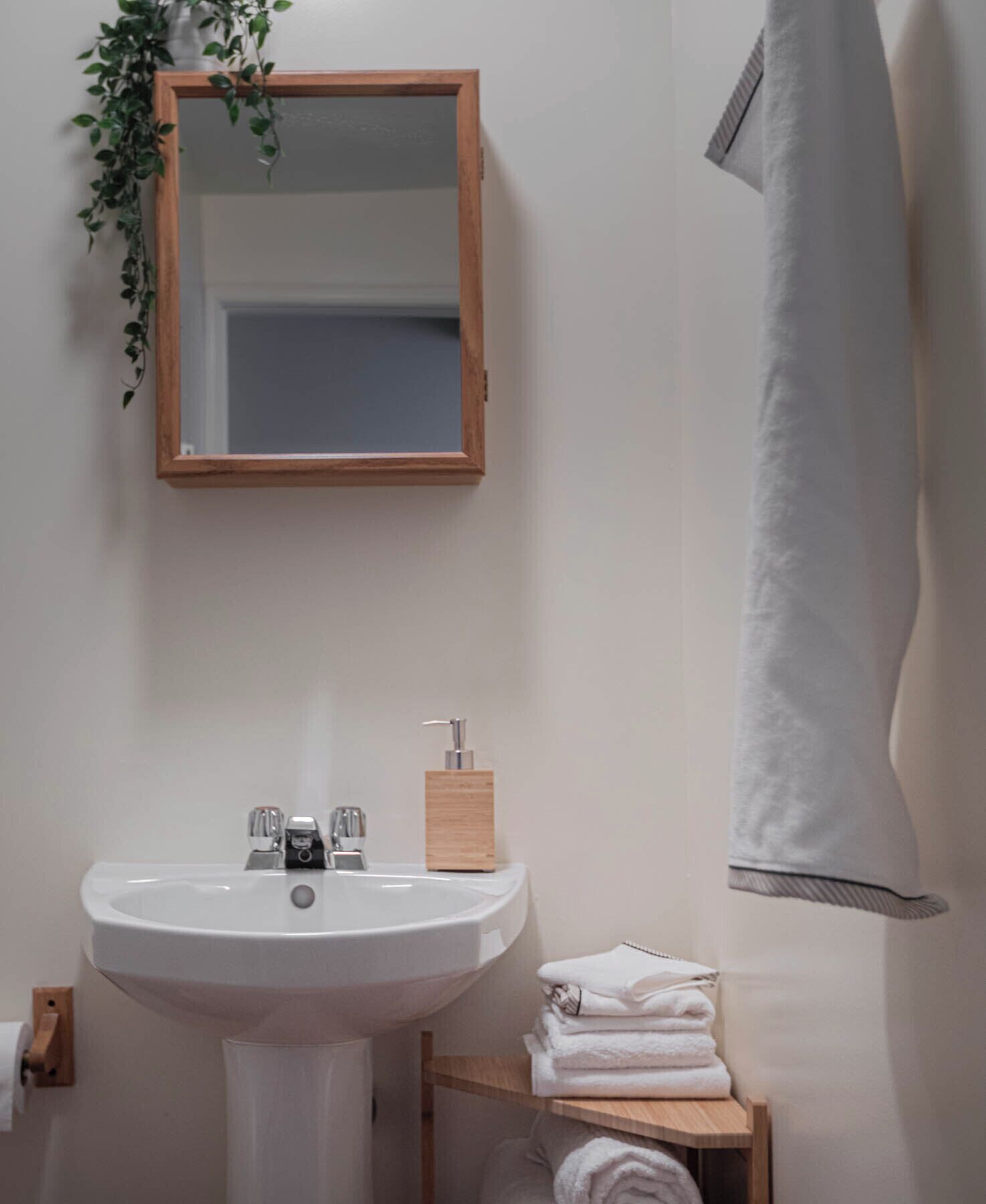 Secadora de cabello, toallas, jabón, shampoo 