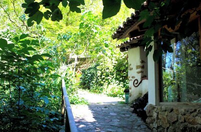 Rural House for groups, with swimming pool and surrounded by nature in the Sierra d Segura.
