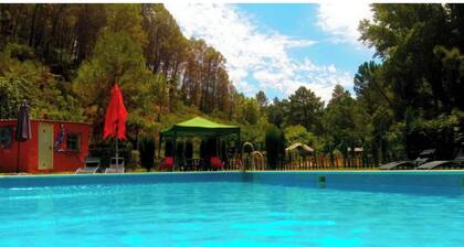 Rural House for groups, with swimming pool and surrounded by nature in the Sierra d Segura.