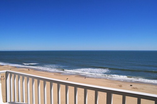 Dolphin Watching Paradise! Amazing 11th Floor Views