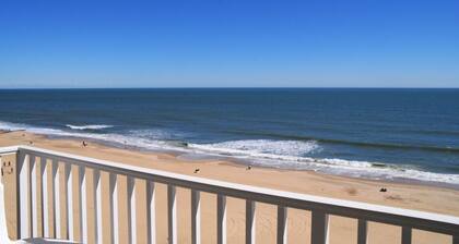 Dolphin Watching Paradise! Amazing 11th Floor Views