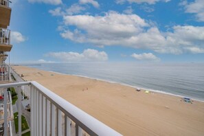 Beach nearby - Modern Luxury Design & Panoramic Ocean Views! 1106 (Virginia Beach)