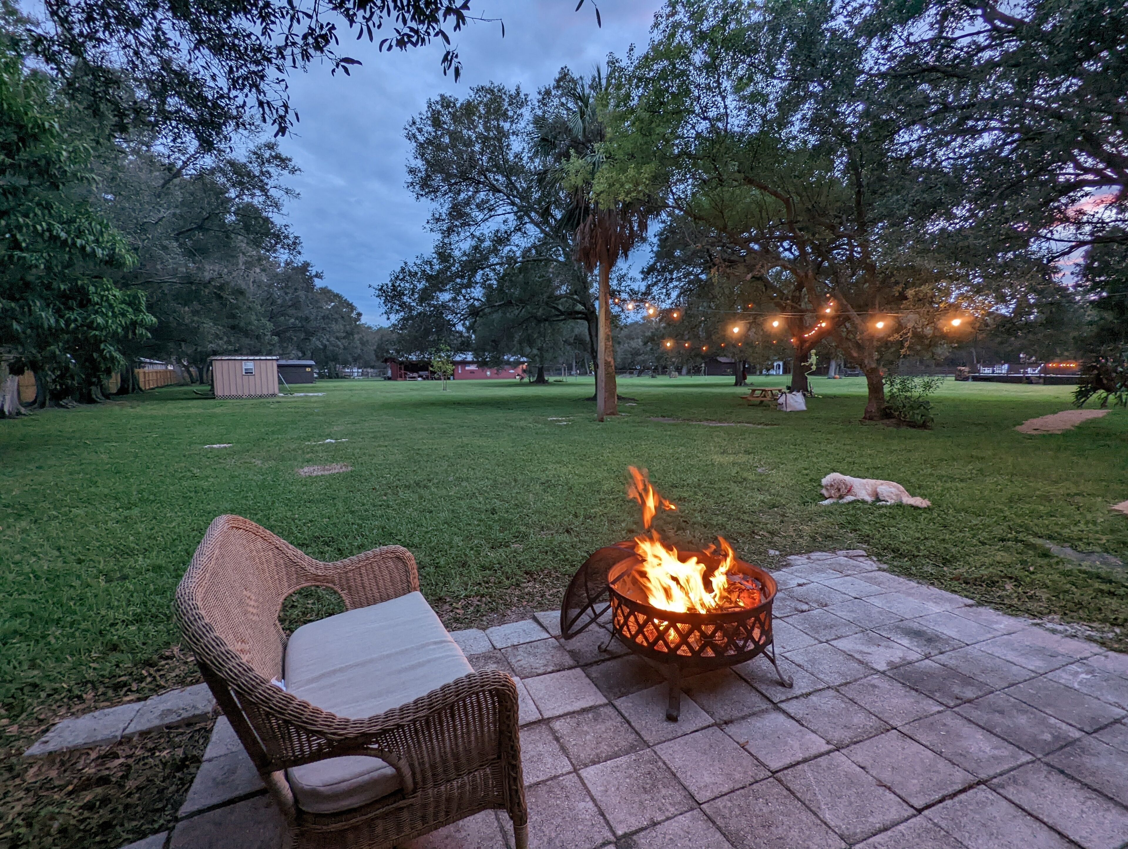 Florida Ranch Style House on 2 acres in an equestrian neighborhood