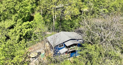 Downtown Asheville - Zurich Swiss MNT Chalet #9B/Low Cost Uber