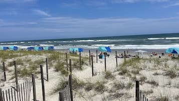 Playa en los alrededores