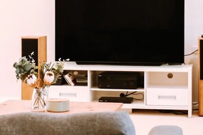 Smart TV, DVD player, video library, computer monitors