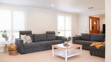 Smart TV, DVD player, video library, computer monitors