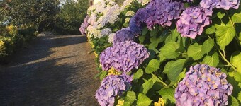 Villa Bouro - Terras de Bouro - Gerês
