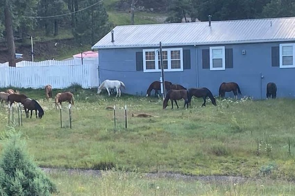 Happy Trails Retreat Welcomes you.