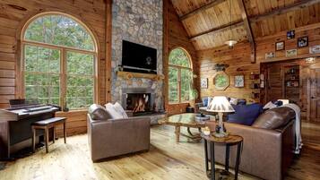 Smart TV, fireplace, books, computer monitors