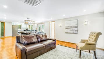 TV, fireplace, books, video library