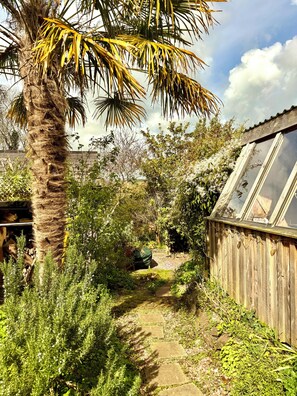 A garden path leading to a wooden structure with a window, surrounded by various plants and a palm tree.