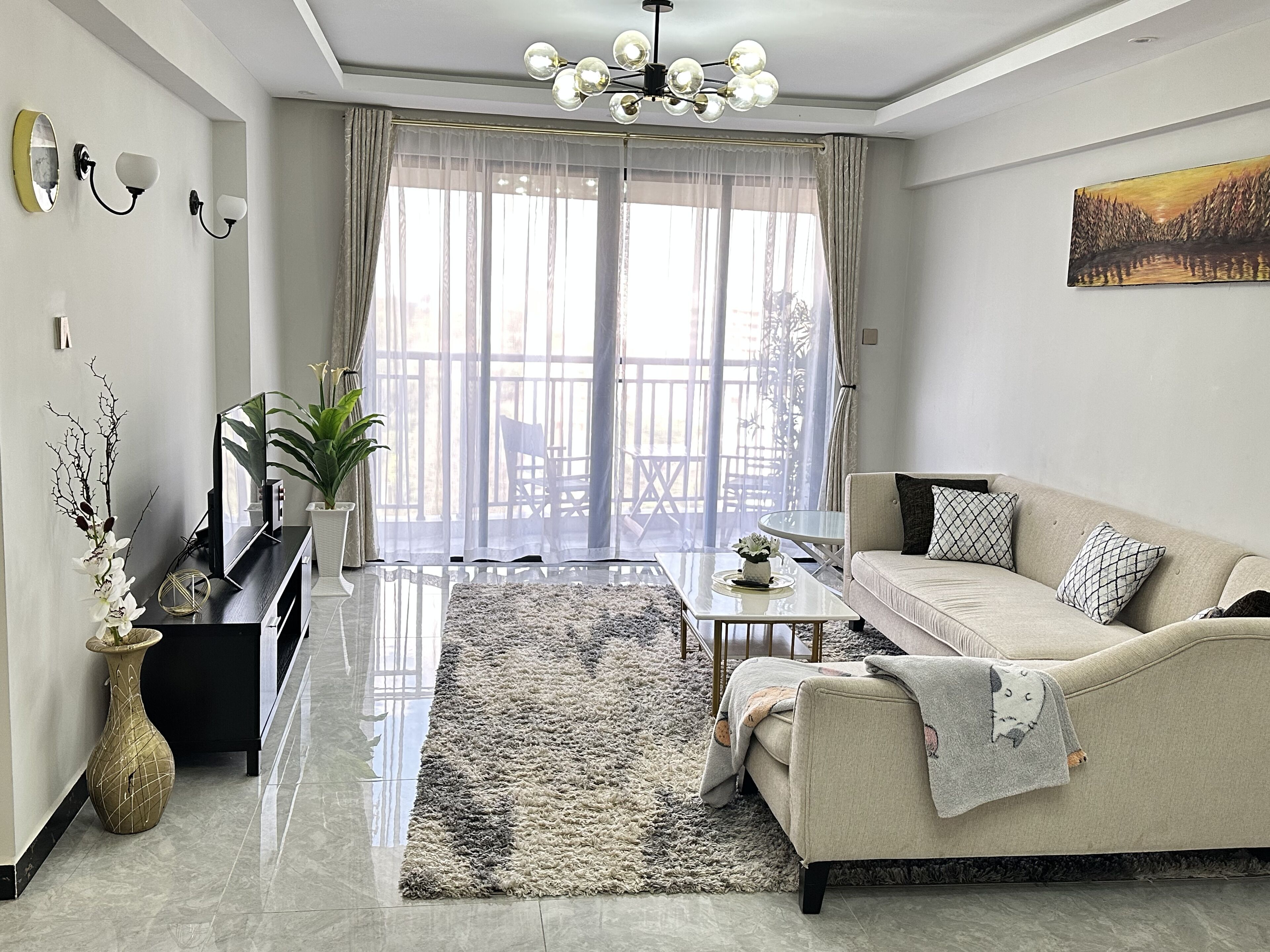 تلفزيون ذكي