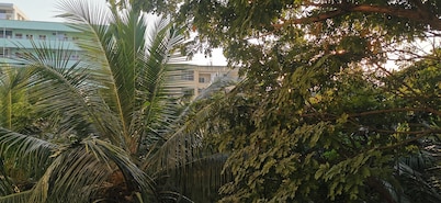 Lovely spacious studio flat