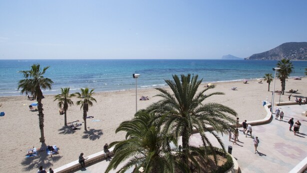 A beach with palm trees, people sunbathing, and a clear blue sky. - A85 EDIFICIO OCEANIC 304 (Calpe)