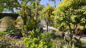 A garden with various plants and trees, including palm trees and flowering plants. - Septimo Cielo by Interhome (Calpe/Calp)
