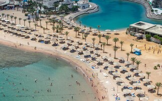 An aerial view of a beach with numerous sun umbrellas, lounge chairs, and palm trees.
