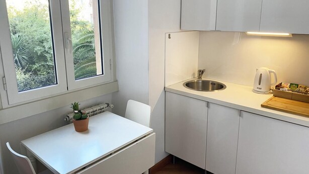 A compact kitchen with a sink, a kettle, and a small table with a plant.