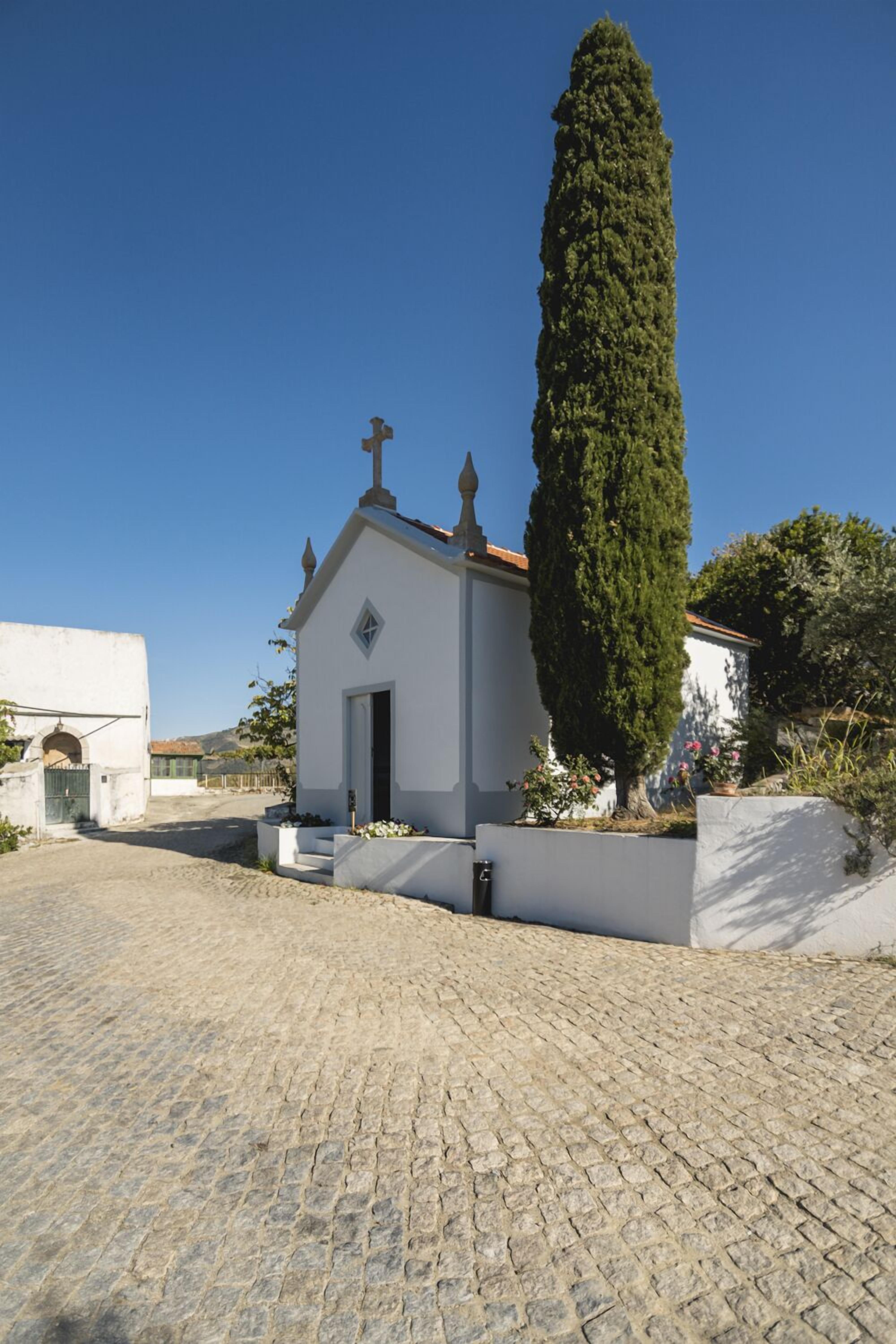 A small white church with a tall cypress tree in front, cobblestone pavement, and a clear blue sky.