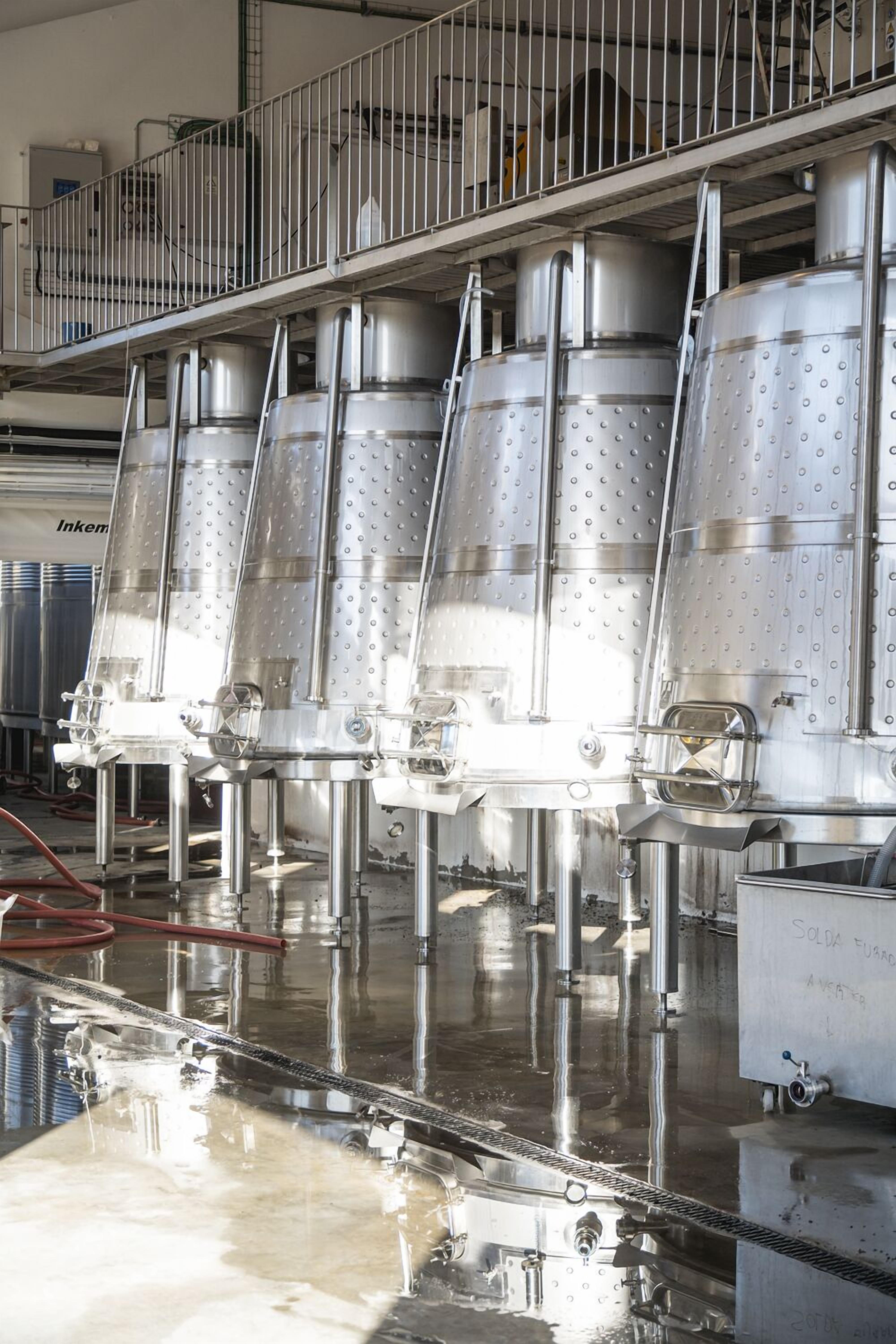 Stainless steel fermentation tanks in a clean, industrial setting.