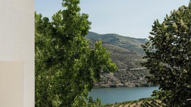 Un balcón con dos sillas y vistas a un viñedo y un lago.