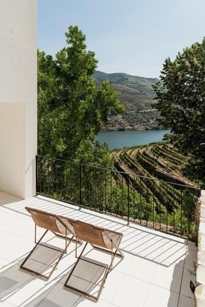 Quinta de São Luiz - The Vine House