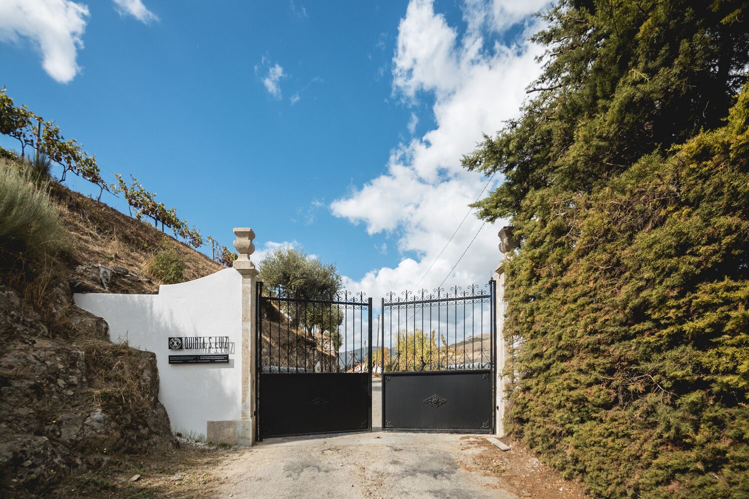 A gated entrance with a white wall and a metal gate, surrounded by trees and a clear sky.