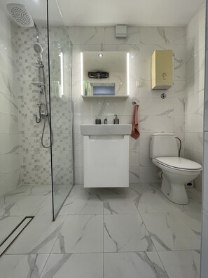 Shower, hair dryer, towels, soap