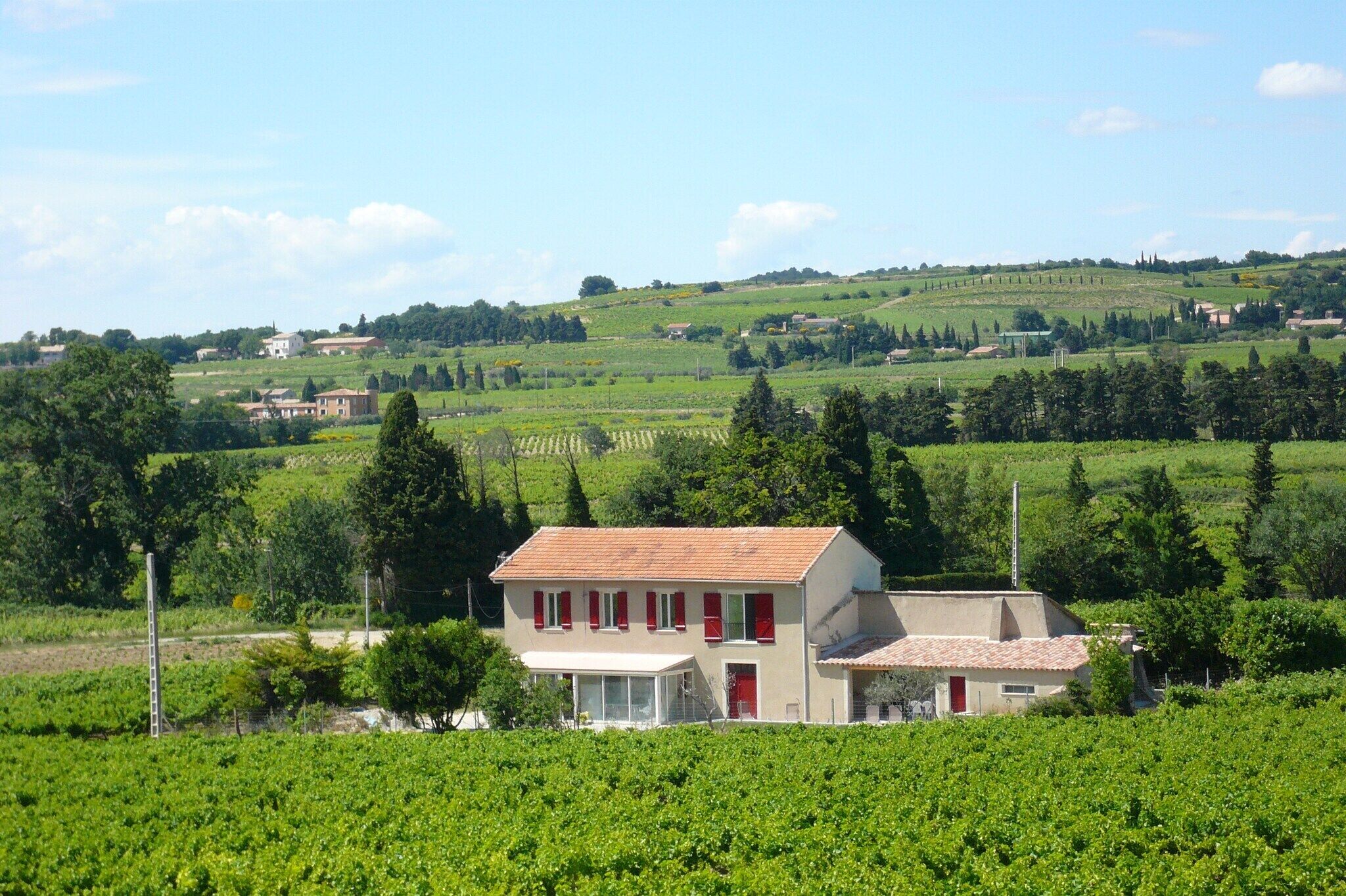 A two-story building with a red door and windows, surrounded by lush green vineyards and rolling hills in the background.