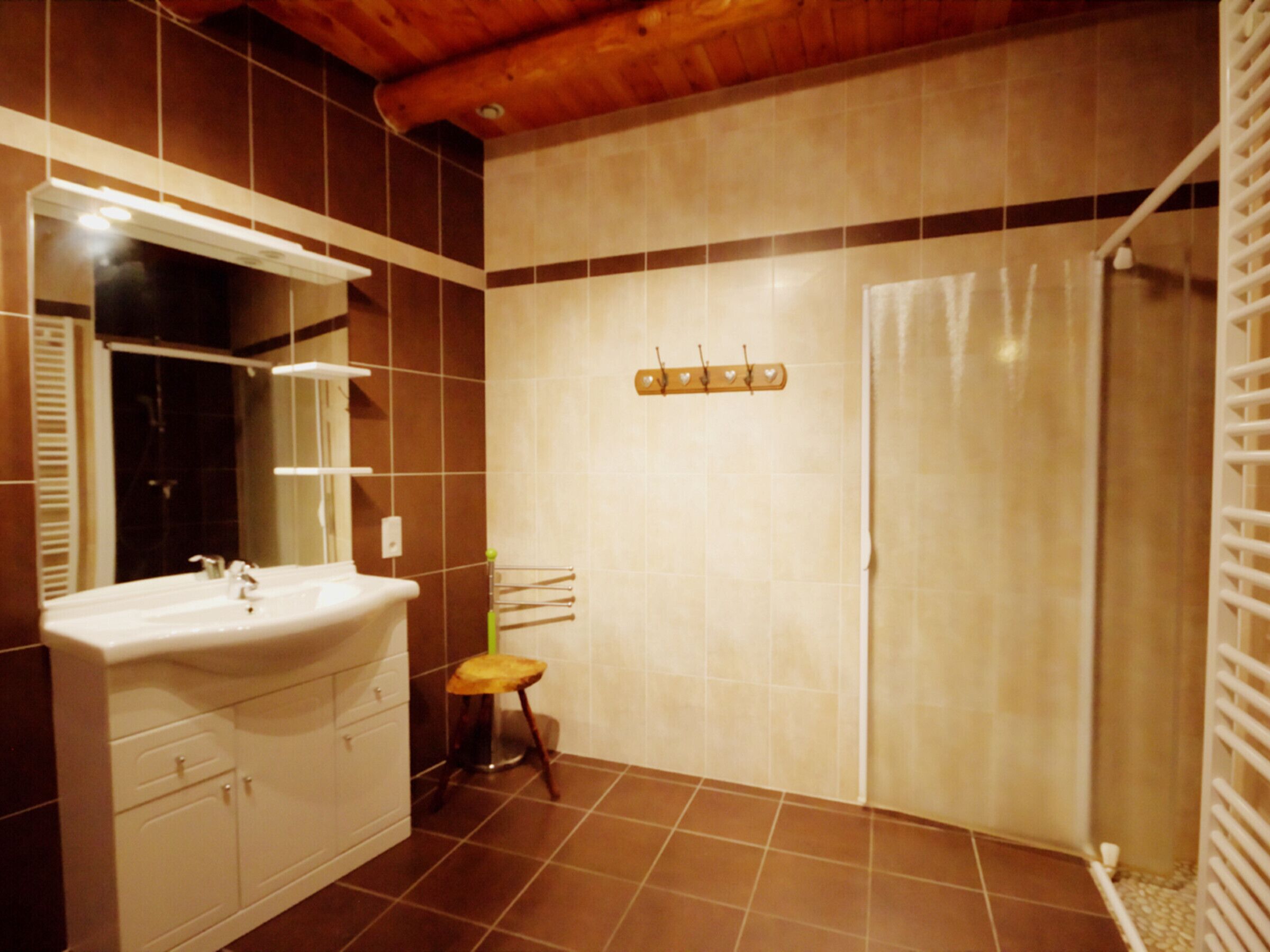 A bathroom with a sink, mirror, and shower.