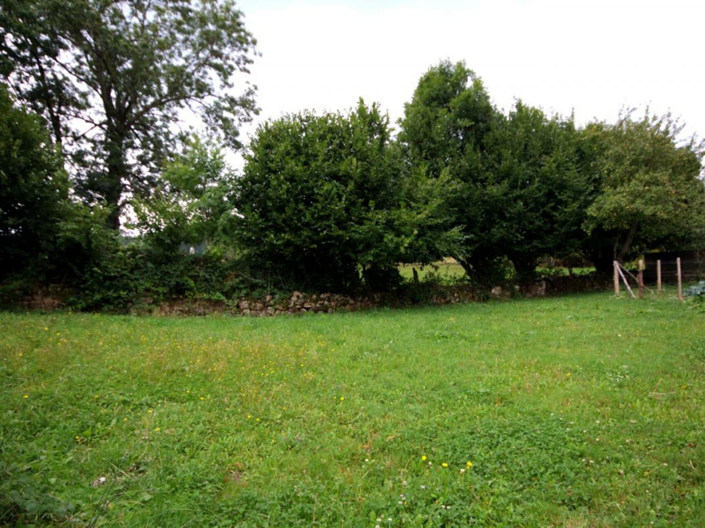 A grassy field with trees and a stone wall.