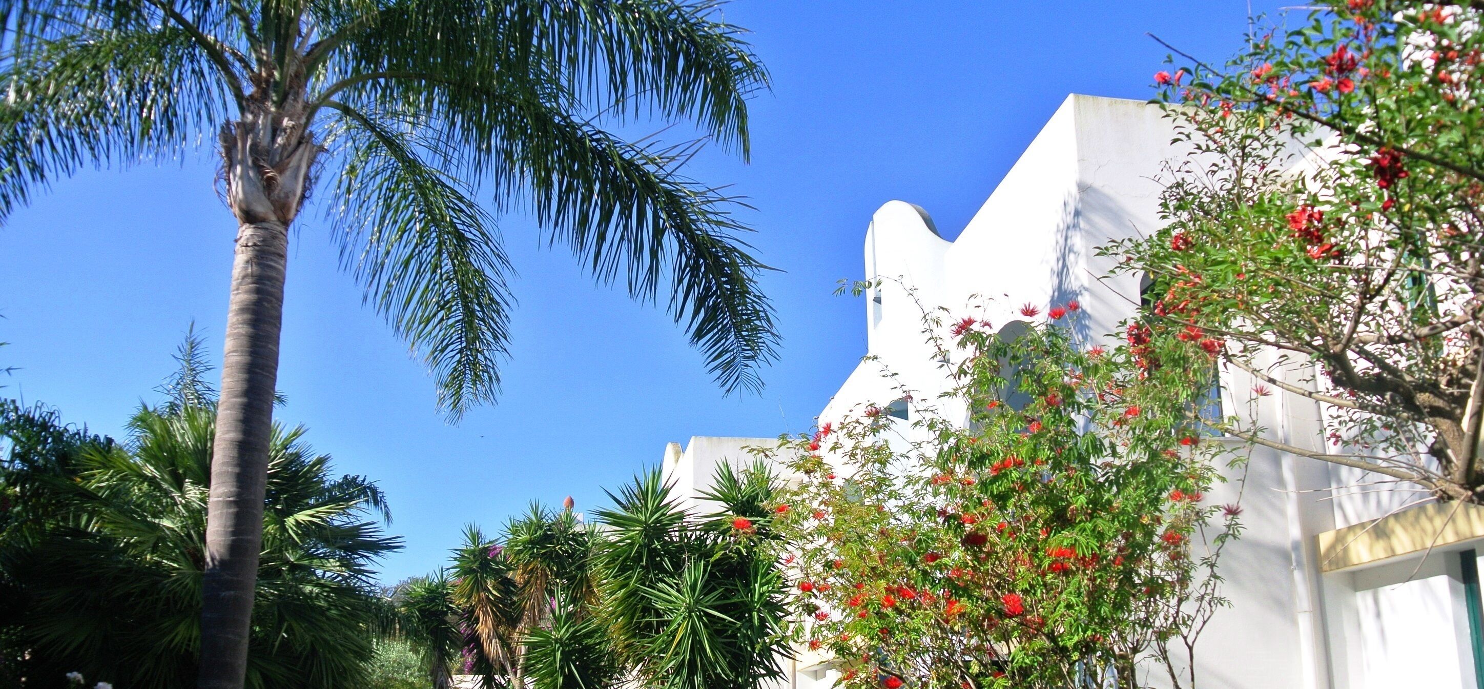 Photo - Paradiso Terme Resort & SPA con 5 piscine termali