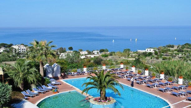 Piscina de resort con tumbonas, una palmera y vista al mar.