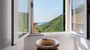 A window with a view of a green hillside and a distant body of water.