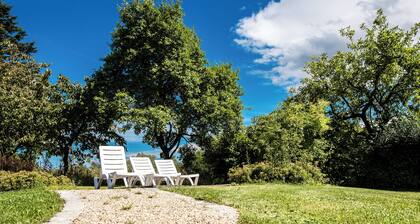 The Blue House - surrounded by greenery
