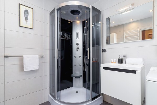 Shower, hair dryer, towels