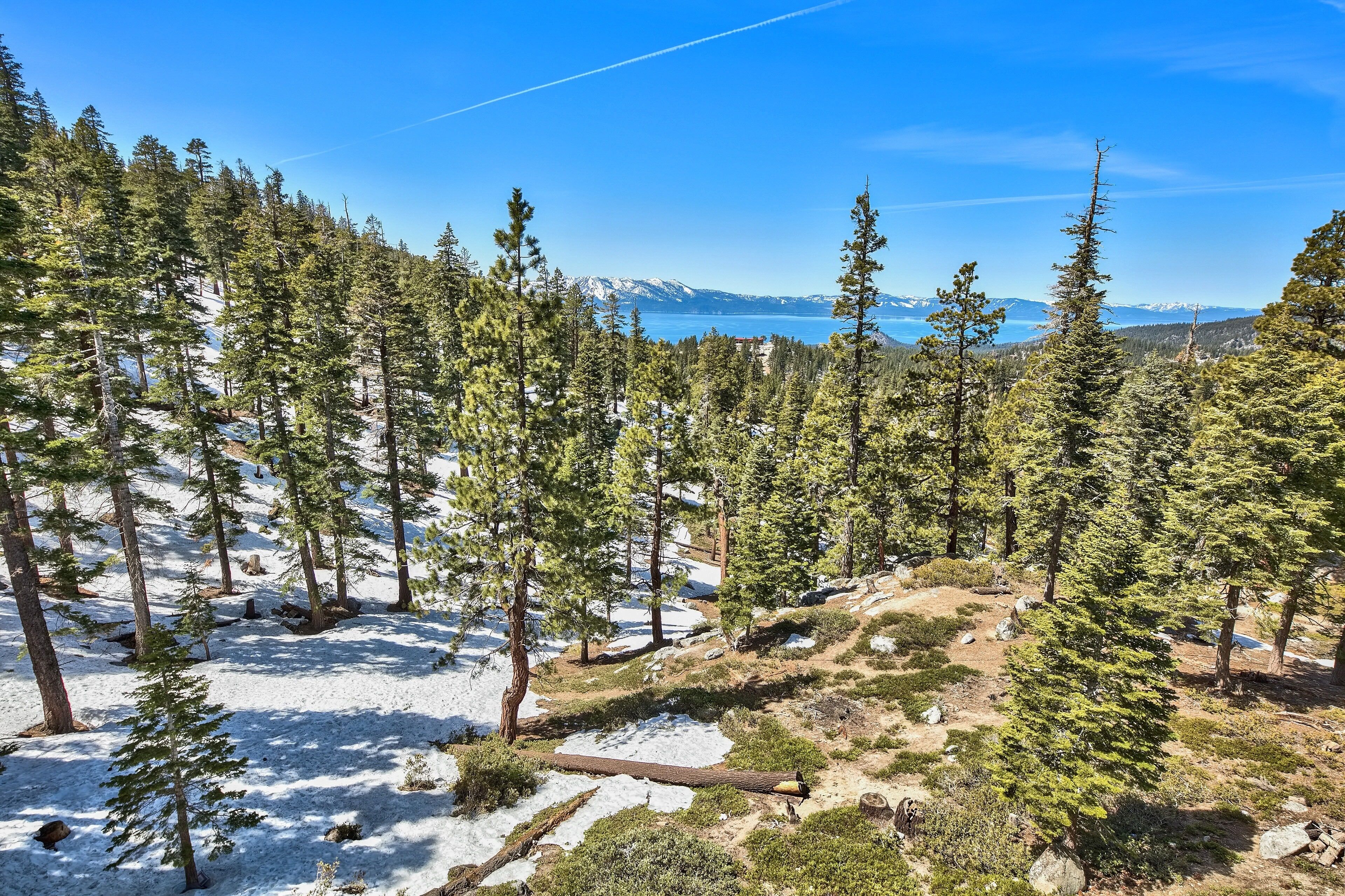 A forested area with snow patches and a clear view of a distant lake and mountains.