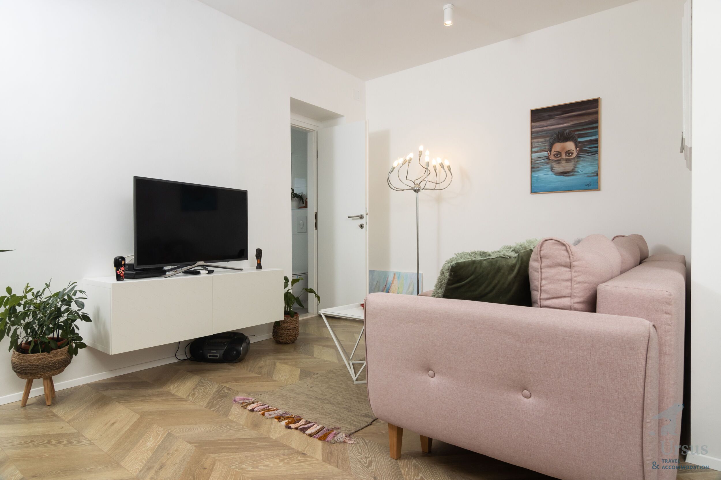 A modern living room with a flat-screen TV on a white console, a pink sofa, a floor lamp, and a painting on the wall.