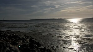A beach with a rocky foreground and a calm sea reflecting the sun. - Wonderful vacation apartment on the Wieker Bodden (Wiek)