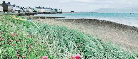 House, Multiple Beds | Beach