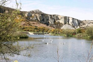 A lake with swans, surrounded by rocky cliffs and autumn foliage.