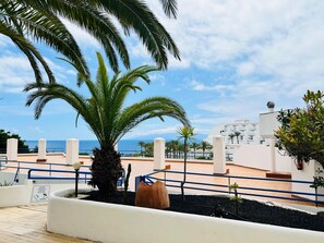 A rooftop terrace with a palm tree, a cactus, and a view of the sea and buildings. - Luxury Kim Apartment, Ocean View. (Playa Paraíso)