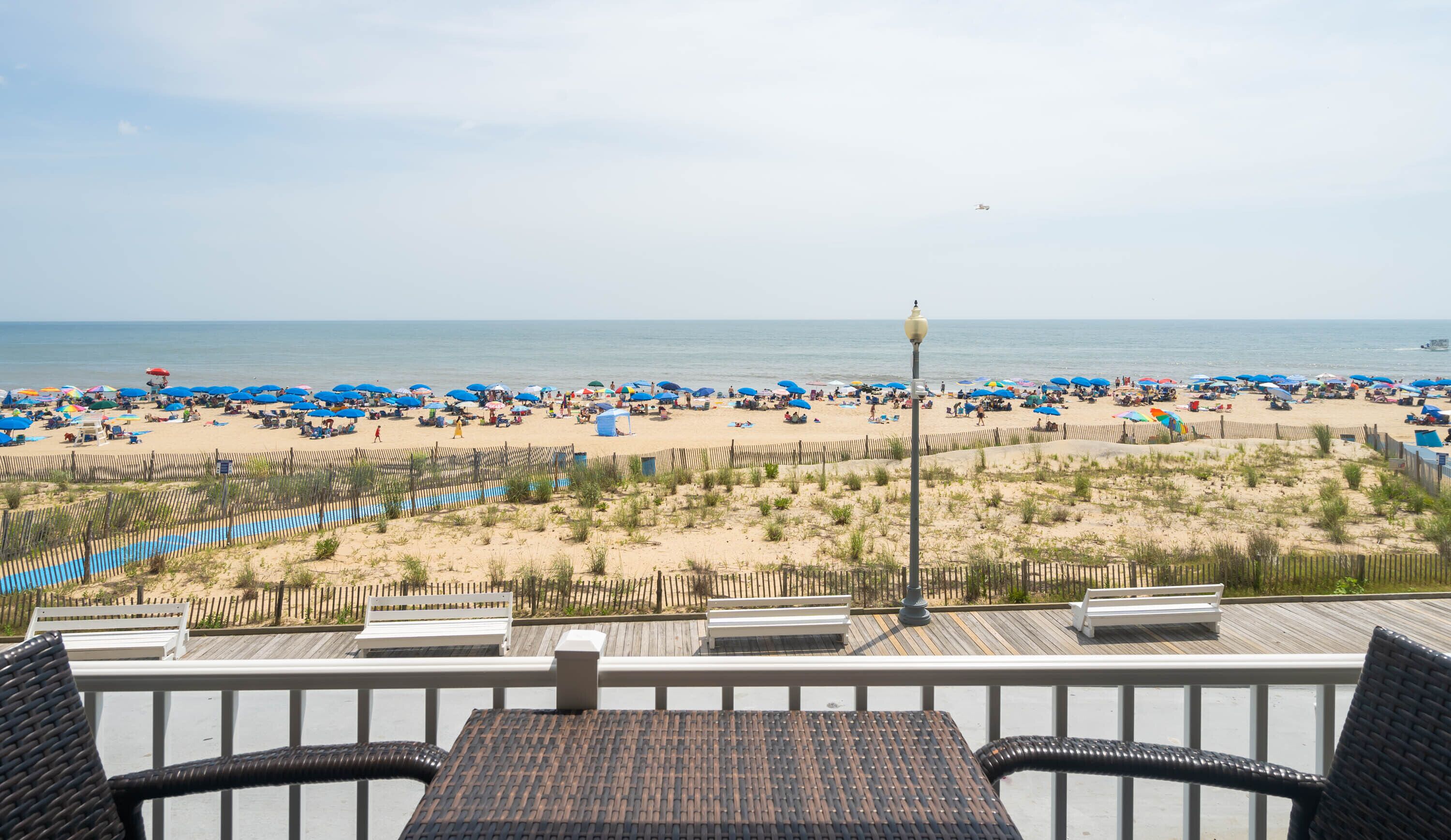 Seaside Star | On The Boardwalk!
