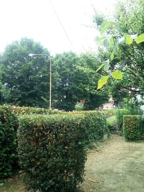 Property grounds - Sestino, Sasso di Simone Natural Park (Sestino)