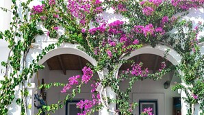 A building with two arched windows, covered with flowering vines. - Beachfront Bocamviglies Room - Naoussa Sunny Suite (Naoussa)
