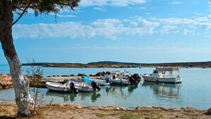 A marina with several boats docked, a clear sky, and a tree in the foreground. - Beachfront Bocamviglies Room - Naoussa Sunny Suite (Naoussa)